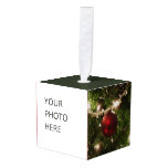 Christmas Tree I Holiday Pretty Green and Red Cube Ornament