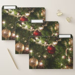 Christmas Tree I Holiday Pretty Green and Red File Folder
