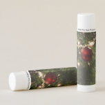 Christmas Tree I Holiday Pretty Green and Red Lip Balm