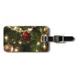 Christmas Tree I Holiday Pretty Green and Red Luggage Tag