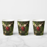 Christmas Tree I Holiday Pretty Green and Red Paper Cups