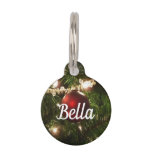 Christmas Tree I Holiday Pretty Green and Red Pet ID Tag