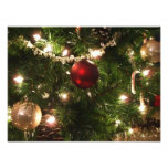 Christmas Tree I Holiday Pretty Green and Red Photo Print