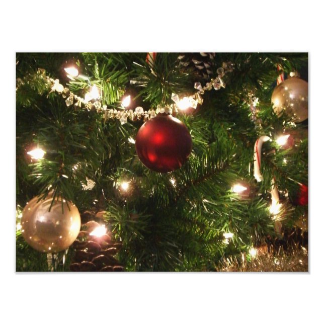 Christmas Tree I Holiday Pretty Green and Red Photo Print (Front)