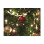 Christmas Tree I Holiday Pretty Green and Red Postcard