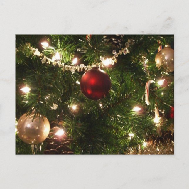 Christmas Tree I Holiday Pretty Green and Red Postcard (Front)