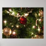 Christmas Tree I Holiday Pretty Green and Red Poster