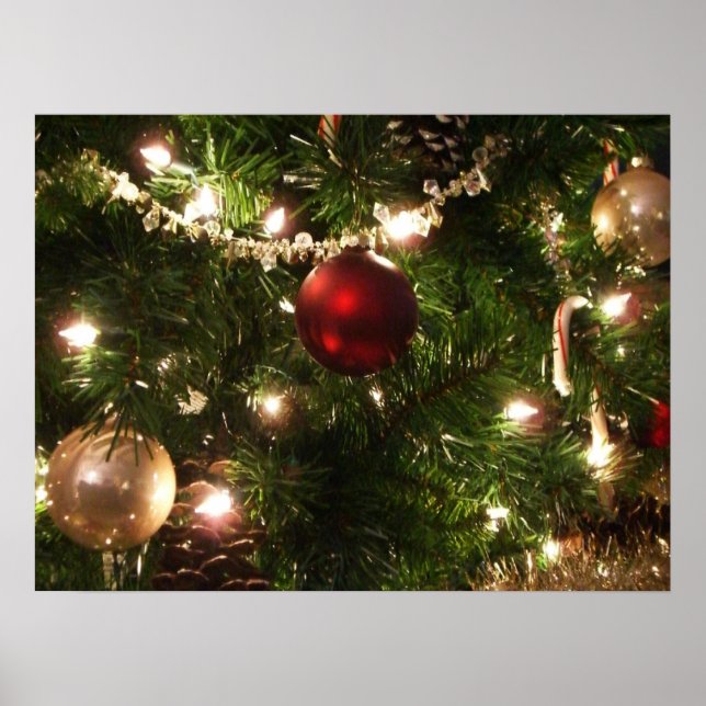 Christmas Tree I Holiday Pretty Green and Red Poster (Front)