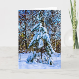Christmas Tree in the Forest Holiday Card