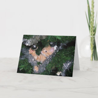 Christmas tree kitten - Customized Holiday Card