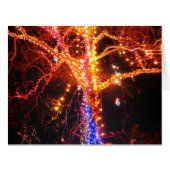 Christmas Tree Lights Abstract (Front Horizontal)