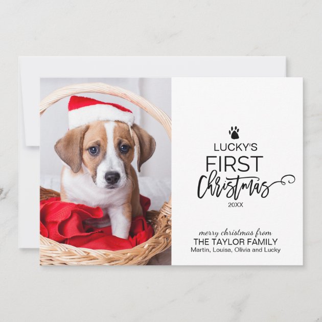 Christmas Tree Pet's First Christmas Photo Holiday Card