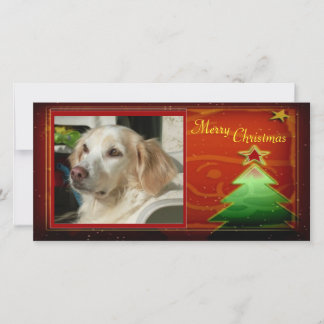 Christmas Tree Photo Card