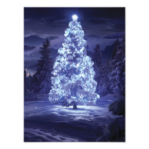 Christmas Tree Photo Print