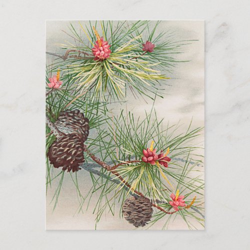 Christmas Tree Pines and Flower Painting Holiday