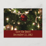 Christmas Tree Save the Date Postcard