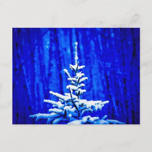 Christmas Tree Snow Magic Night Postcard