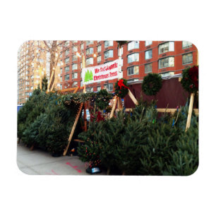 Christmas Tree Stand Upper West Side New York City Magnet