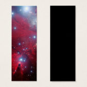 Christmas Tree Star Cluster (Front & Back)