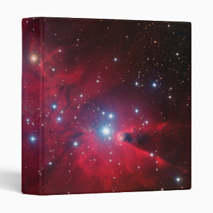 Christmas Tree Star Cluster Binder