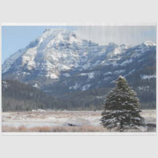 Christmas Tree Tissue Paper