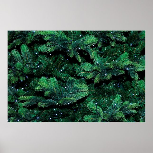 Christmas tree twigs sapling pine poster (Front)