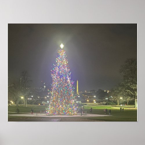 Christmas Tree US Capitol Washington DC Poster
