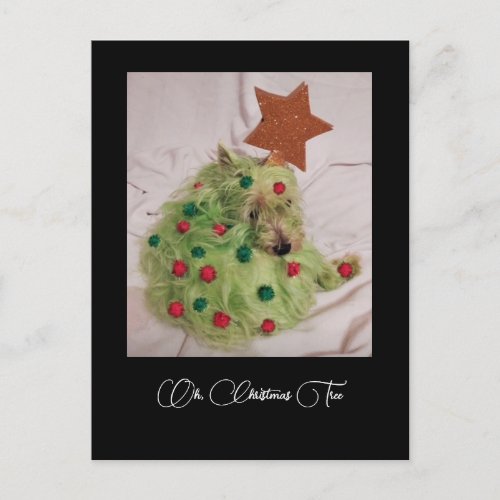 Christmas Tree Westie Postcard
