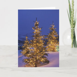 Christmas trees, Park City, Wastch Mountains, 2 Holiday Card
