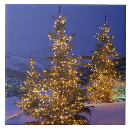 Christmas trees Park City Wastch Mountains 2 Tile