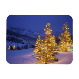 Christmas trees, Park City, Wastch Mountains, Magnet
