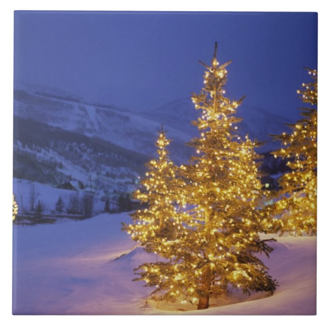 Christmas trees, Park City, Wastch Mountains, Tile (Front)