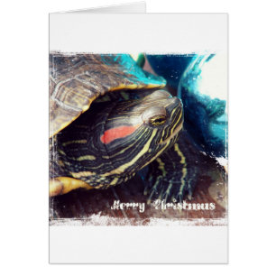 Christmas Turtle Cards