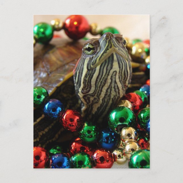 Christmas Turtle Holiday Card (Front)