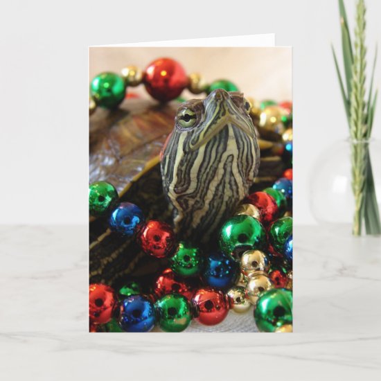 Christmas Turtle Holiday Card