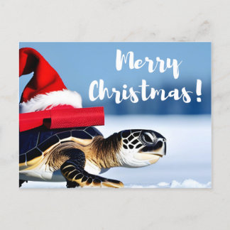 Christmas Turtle Postcard