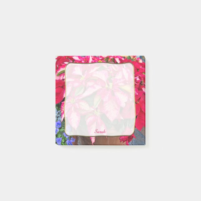 Christmas Variegated Pink & Red Poinsettia Photo Post-it Notes (Front)