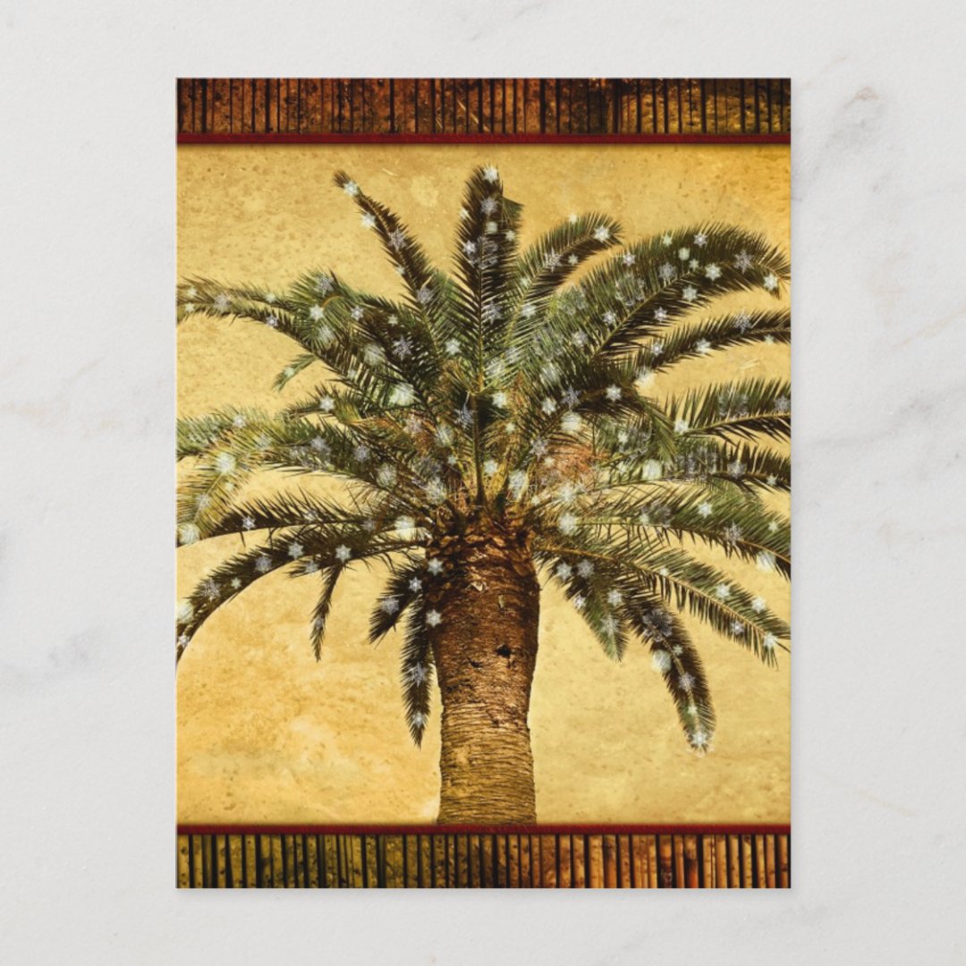Christmas Vintage Tropical Palm Tree w Snowflakes Holiday Postcard