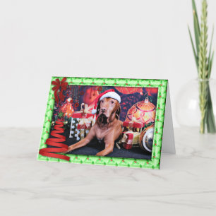 Christmas - Vizsla - Budda Holiday Card
