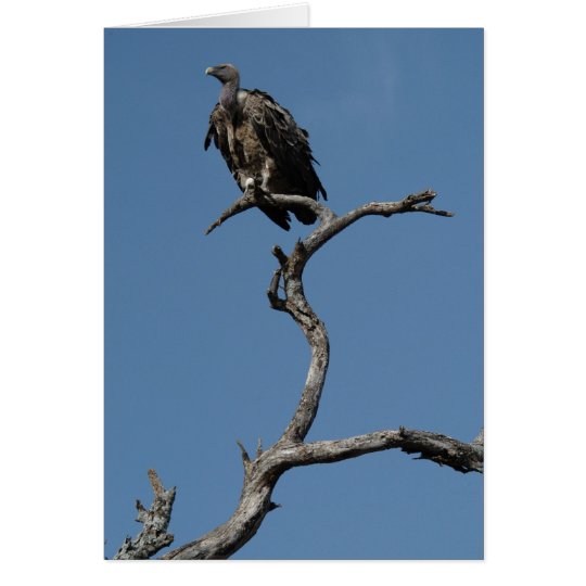 Christmas Vulture Card