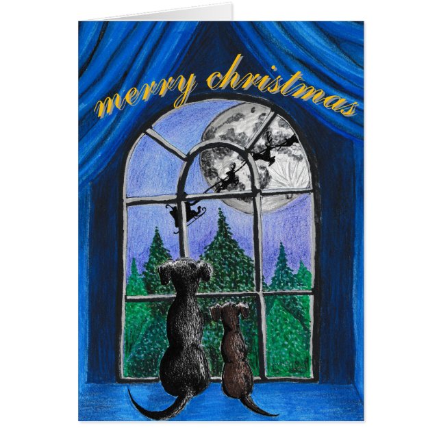 christmas "waiting for santa" springador dogs cards (Front)