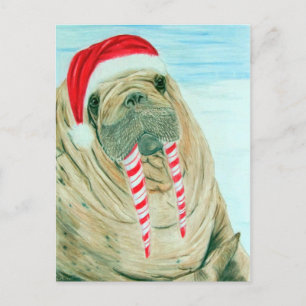 Christmas Walrus Holiday Postcard