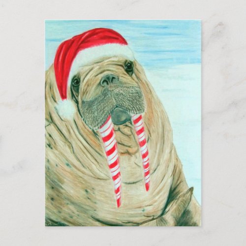 Christmas Walrus Holiday Postcard