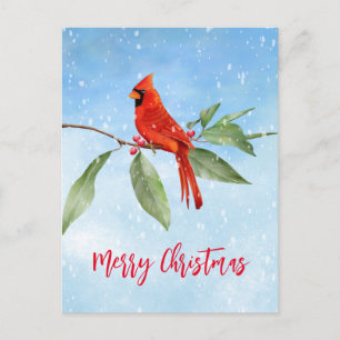 Christmas Watercolor Blue Green Red Cardinal Bird Holiday Postcard