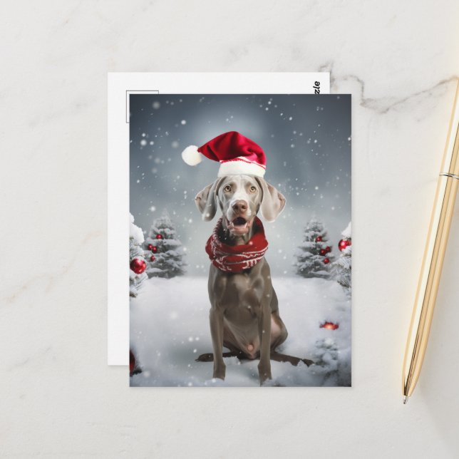 Christmas Weimaraner Dog Postcard (Front/Back In Situ)