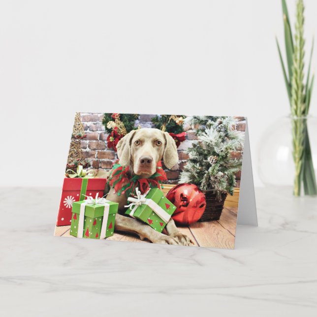 Christmas - Weimaraner - Lucy Holiday Card (Front)