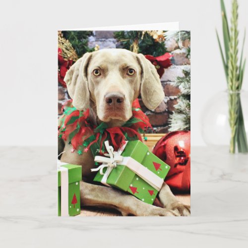 Christmas _ Weimaraner _ Lucy Holiday Card