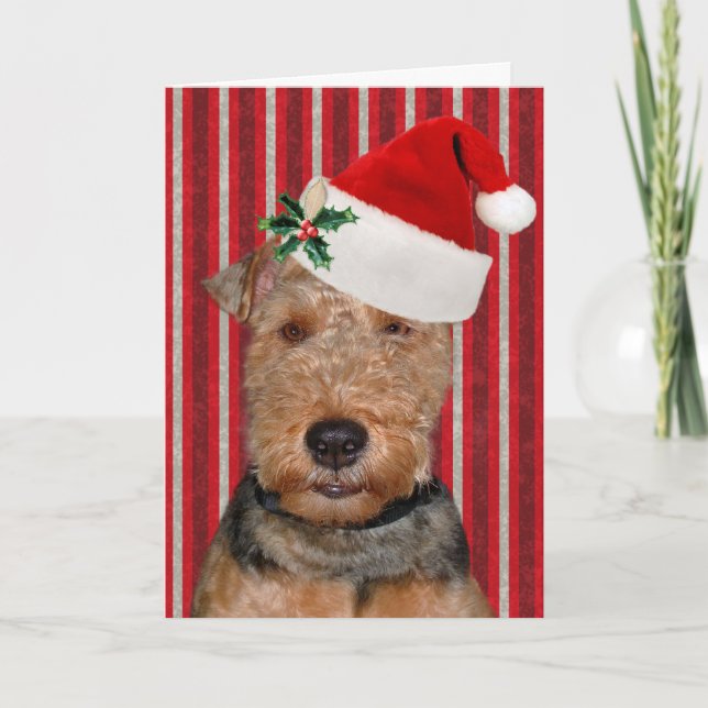 Christmas Welsh Terrier with Hat Holiday Card (Front)
