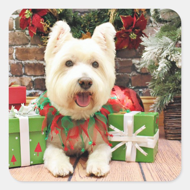 Christmas - Westie - Lucky Square Sticker (Front)