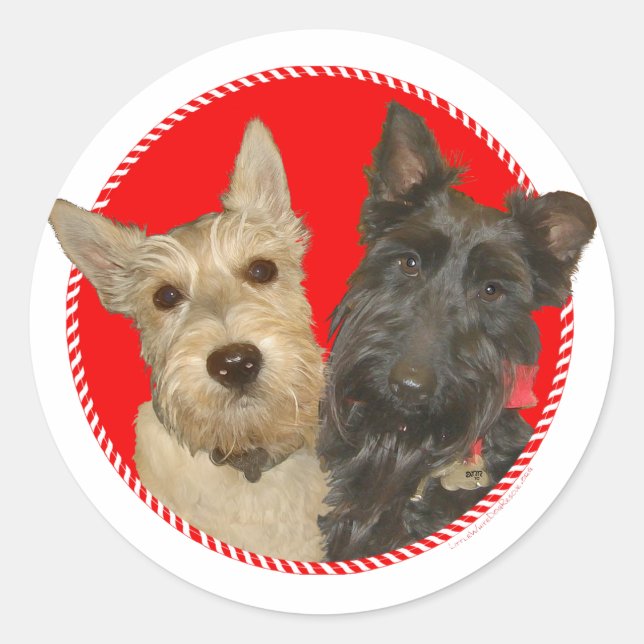 Christmas Wheaten & Black Scotties Classic Round Sticker (Front)